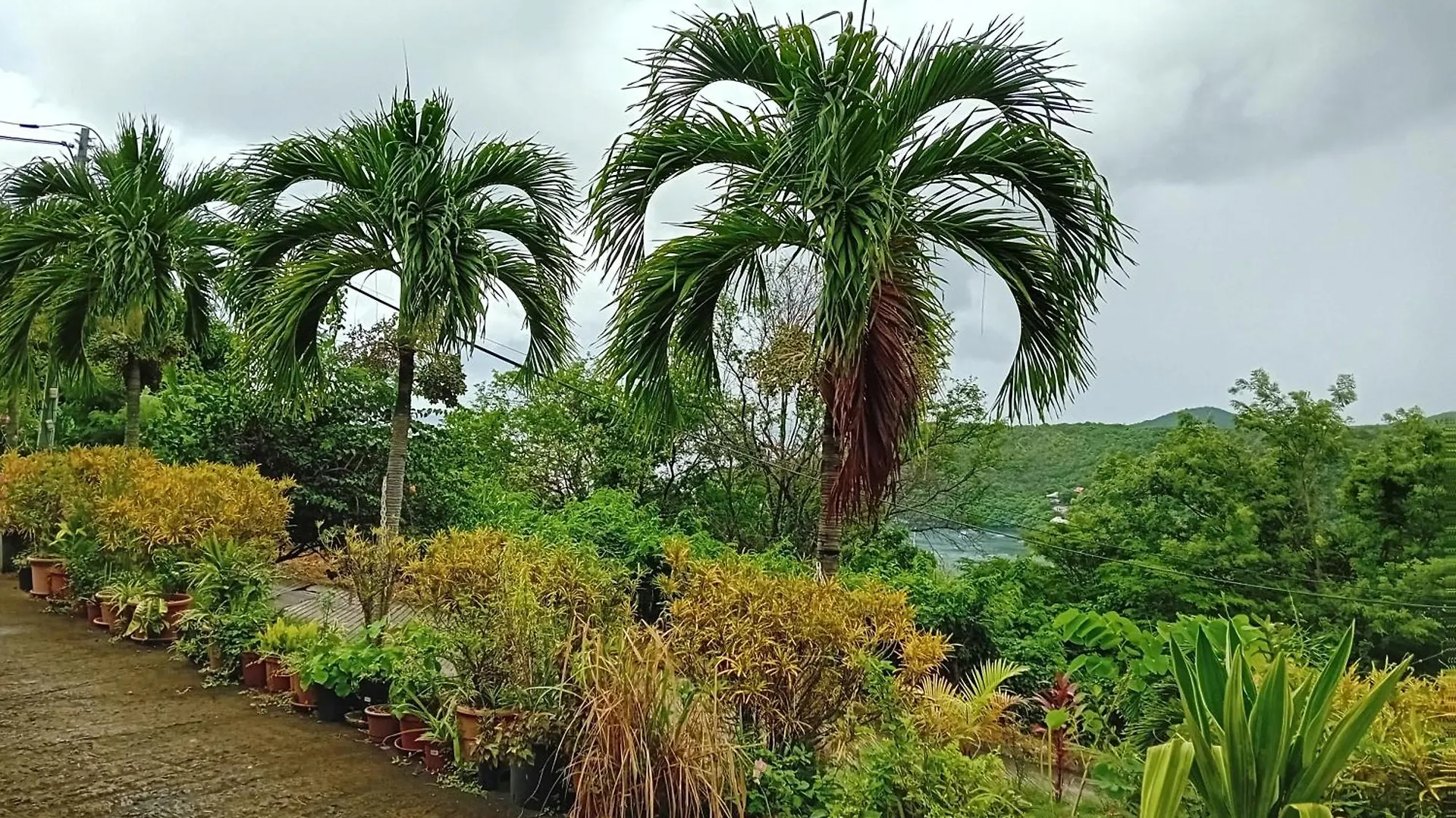Appartement Studio les trois perles Les Anses-d'Arlet Martinique